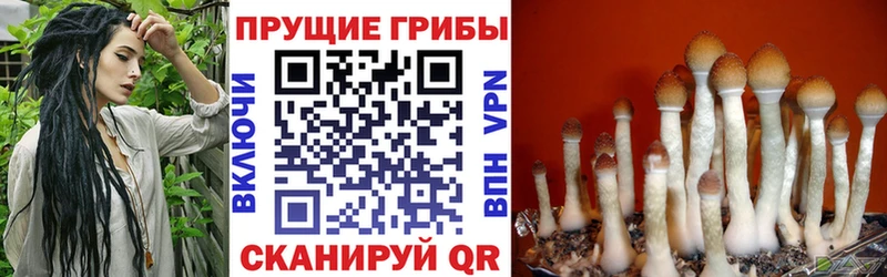 Галлюциногенные грибы мицелий  Североморск 